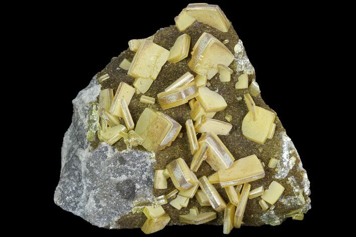 Sandwich Wulfenite Crystal Cluster - Ojuela Mine, Mexico #103494